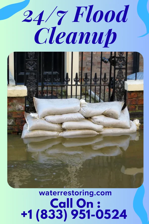 24/7 Flood Cleanup in Vilas, SD