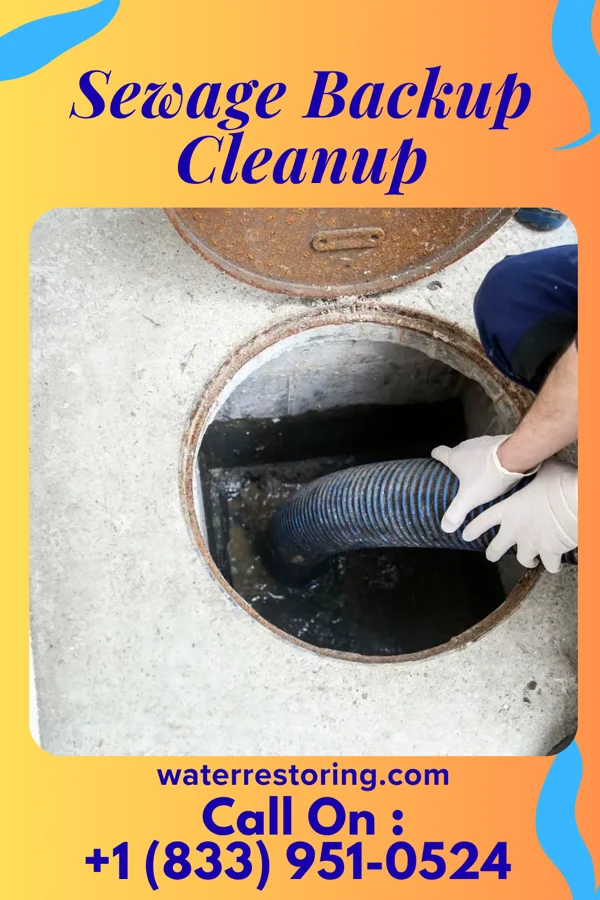 Sewage Backup Cleanup in Vilas, SD