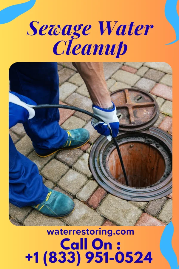 Sewage Water Cleanup in Vilas, SD