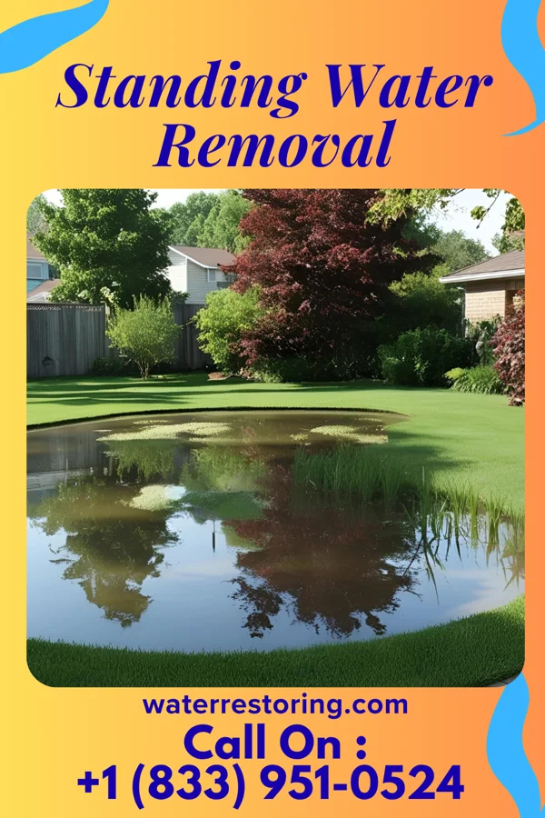 Standing Water Removal in Vilas, SD